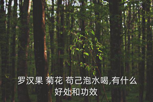 羅漢果菊花茶的功效與作用