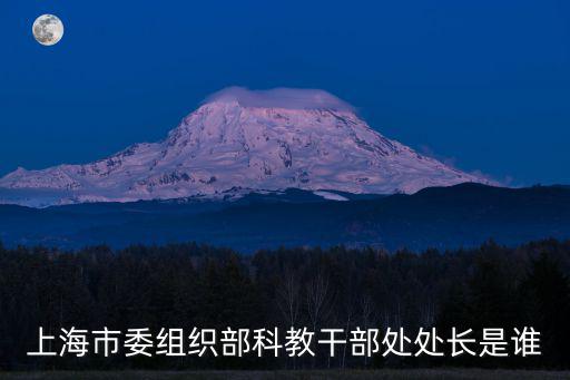 上海市領(lǐng)導(dǎo)出席開工儀式，上海市委組織部科教干部處處長(zhǎng)是誰