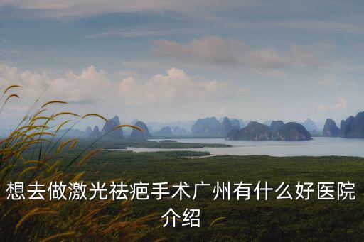 想去做激光祛疤手術廣州有什么好醫院介紹
