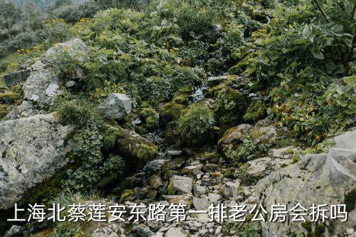 上海北蔡蓮安東路第一排老公房會拆嗎