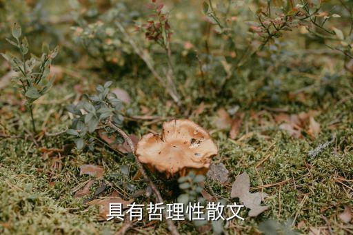 具有哲理性散文