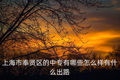 上海市奉賢區(qū)的中專有哪些怎么樣有什么出路