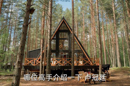 哪位高手介紹一下 盧冠廷