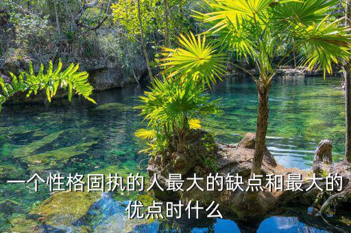 一個性格固執的人最大的缺點和最大的優點時什么