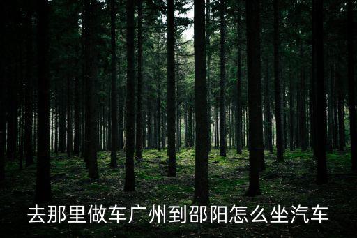 去那里做車廣州到邵陽怎么坐汽車