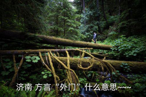  濟南 方言“外門”什么意思~~~