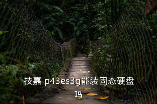  技嘉 p43es3g能裝固態(tài)硬盤嗎
