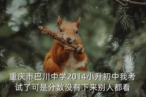 重慶市巴川中學小升初試題，重慶市巴川中學2014小升初中我考試了可是分數沒有下來別人都看