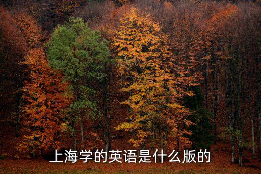 上海學(xué)的英語是什么版的