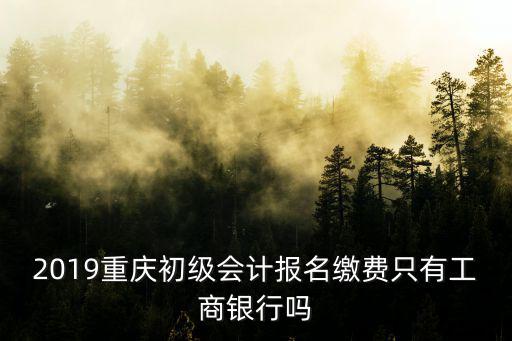2019重慶初級會計報名繳費只有工商銀行嗎