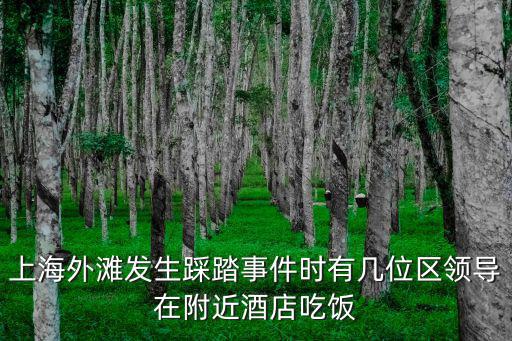 上海外灘發生踩踏事件時有幾位區領導在附近酒店吃飯