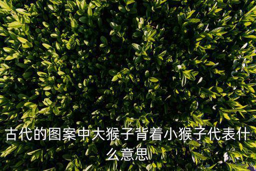 古代的圖案中大猴子背著小猴子代表什么意思