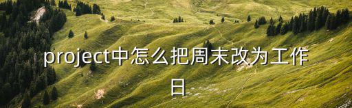 project中怎么把周末改為工作日