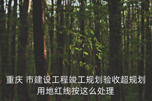 重慶 市建設(shè)工程竣工規(guī)劃驗(yàn)收超規(guī)劃用地紅線按這么處理