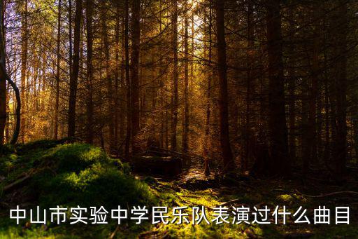 中山市實(shí)驗(yàn)中學(xué)民樂隊(duì)表演過什么曲目