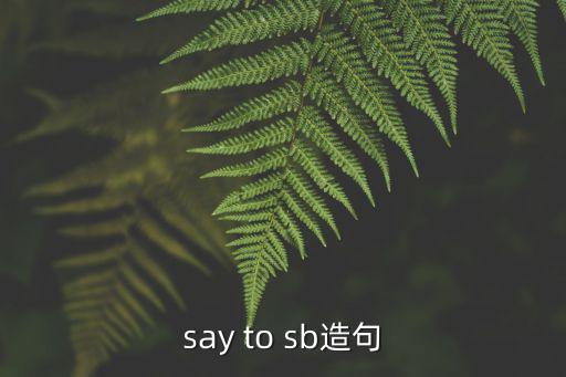 say造句，say to sb造句