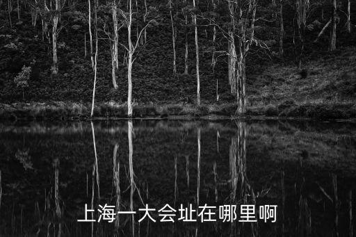 上海一大會址在哪里啊