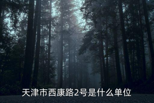 天津市西康路2號是什么單位