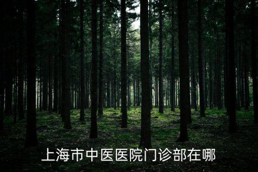 上海市中醫(yī)醫(yī)院門診部在哪