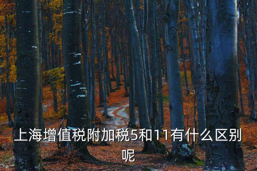 上海增值稅附加稅5和11有什么區(qū)別呢