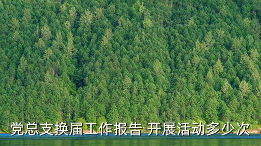 黨總支換屆工作報告 開展活動多少次