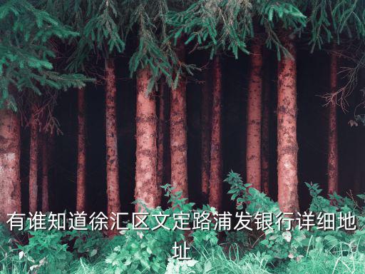 上海市徐匯文定路211弄，有誰知道徐匯區(qū)文定路浦發(fā)銀行詳細(xì)地址