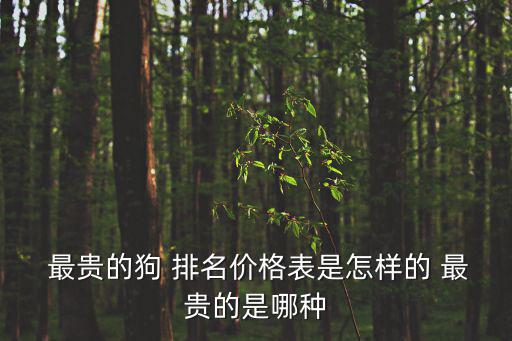 世界上最貴的狗排名,世界最貴的狗排名出爐捷克獵狼犬居榜首