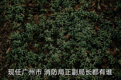 廣州消防支隊(duì)任職公告，現(xiàn)任廣州市 消防局正副局長(zhǎng)都有誰(shuí)
