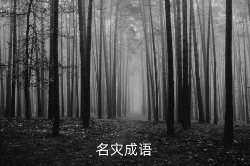 災的成語，填字成語災難