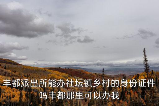 豐都派出所能辦社壇鎮鄉村的身份證件嗎豐都那里可以辦我