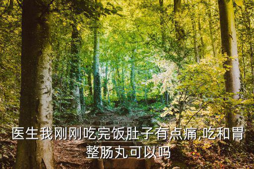 醫(yī)生我剛剛吃完飯肚子有點(diǎn)痛,吃和胃 整腸丸可以嗎
