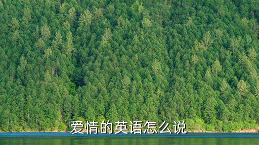 愛情的英語怎么說