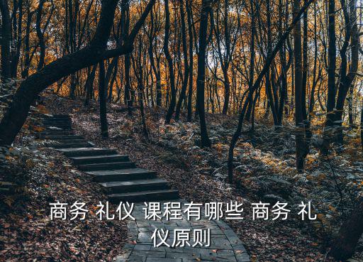  商務(wù) 禮儀 課程有哪些 商務(wù) 禮儀原則