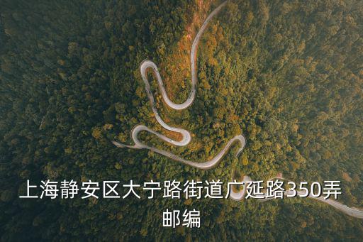 上海靜安區大寧路街道廣延路350弄郵編