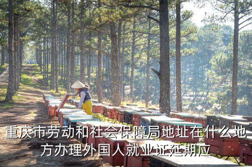 重慶市勞動(dòng)和社會(huì)保障局地址在什么地方辦理外國(guó)人就業(yè)證延期應(yīng)