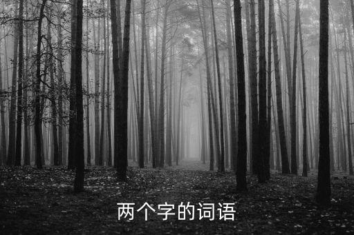 兩個(gè)字的詞語