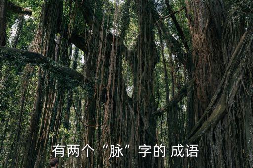 脈的成語,深情:羞澀冷漠:用作補語或表達(dá)情意的句子
