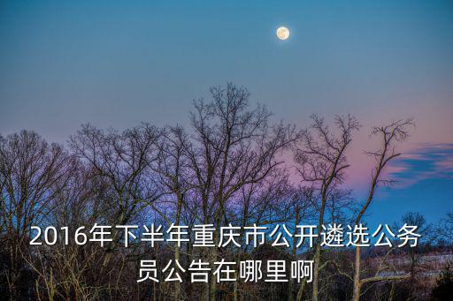 2016年下半年重慶市公開遴選公務(wù)員公告在哪里啊