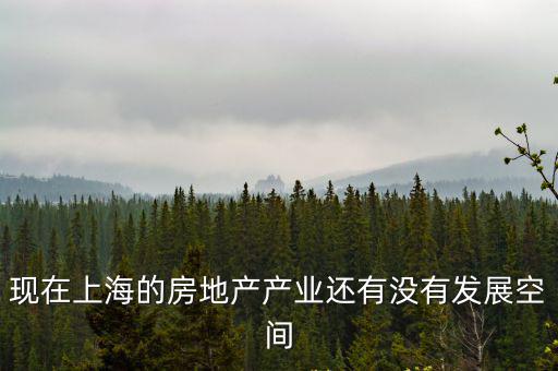 現在上海的房地產產業還有沒有發展空間