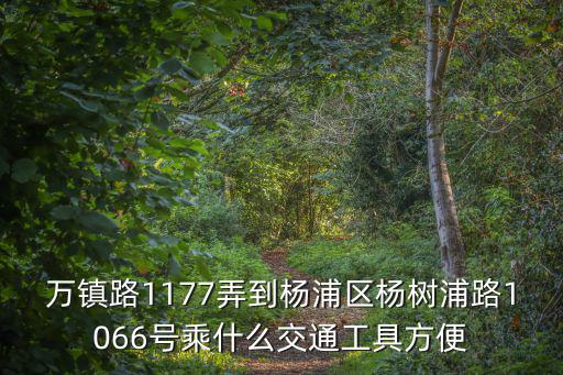 上海市普陀區萬鎮路1177弄，上海市萬鎮路1177弄94號601室屬于什么區