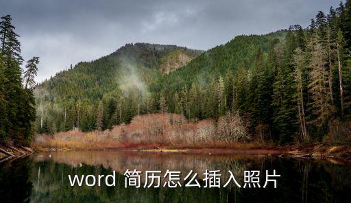 word 簡歷怎么插入照片