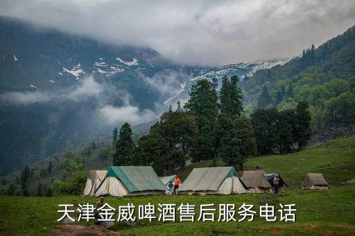 天津市金威特制管，想知道天津市 金威啤酒領導層情況 在哪