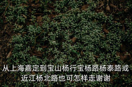 從上海嘉定到寶山楊行寶楊路楊泰路或近江楊北路也可怎樣走謝謝
