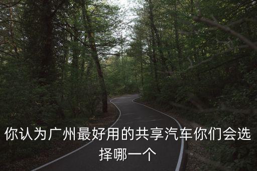 你認為廣州最好用的共享汽車你們會選擇哪一個