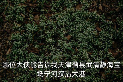 天津市薊州區(qū)張欣建材銷售中心，哪位大俠能告訴我天津薊縣武清靜海寶坻寧河漢沽大港