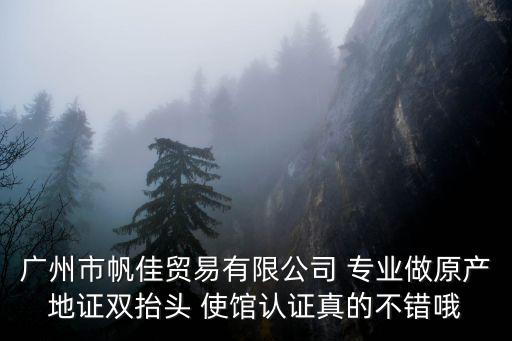廣州市帆佳貿(mào)易有限公司 專業(yè)做原產(chǎn)地證雙抬頭 使館認(rèn)證真的不錯(cuò)哦
