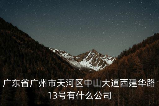 廣東省廣州市天河區中山大道西建華路13號有什么公司