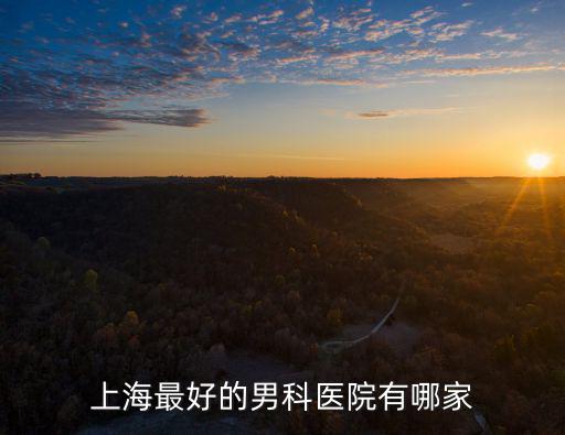 上海有男科的醫(yī)院，上海有哪幾家比較知名的男科醫(yī)院