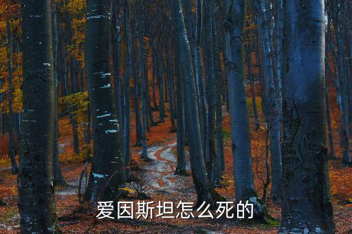 愛因斯坦怎么死的