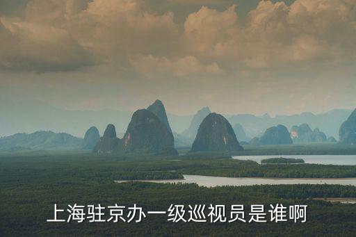 上海駐京辦一級巡視員是誰啊
